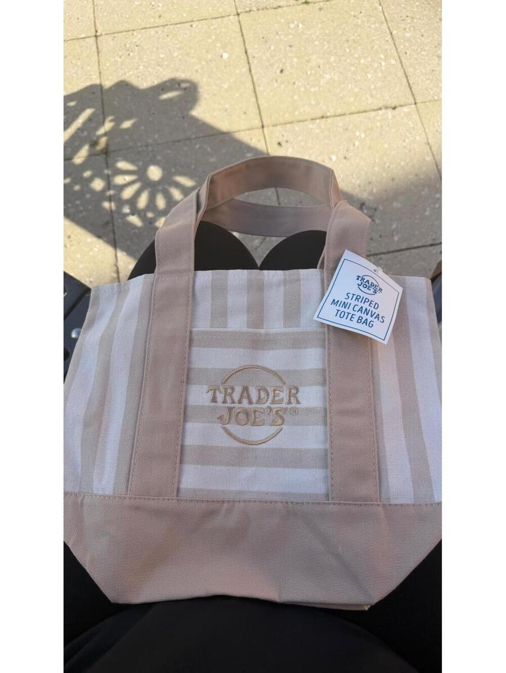 Brown Trader Joe’s Mini Pastel Stripe Canvas Tote Bag